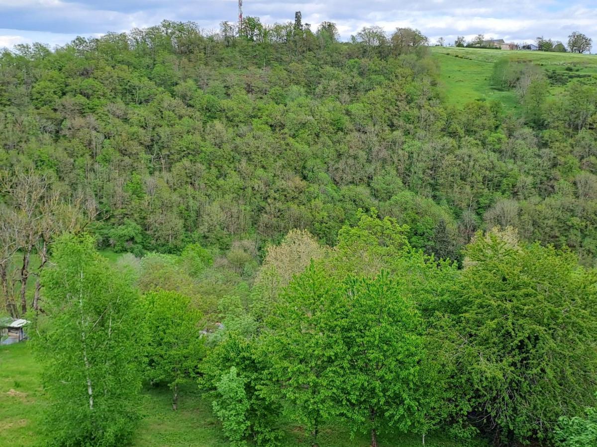 Agreable T2 Classe 3 Etoiles, Refait A Neuf, Dans Quartier Calme Rodez Exterior photo